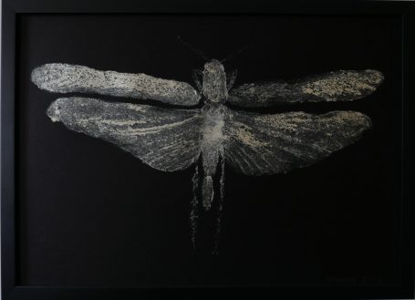 Dragonfly 2025 in Metallic silver. £150