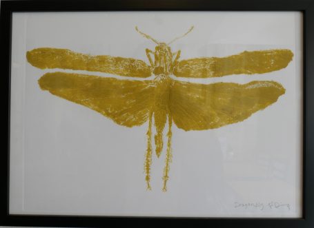 Dragonfly 2025 in Mustard yellow. £130