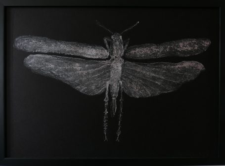 Dragonfly 2025 in Metallic silver. £150